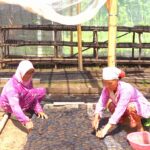 MIND ID Bina Lebih dari 10.000 UMKM untuk Perkuat Ekonomi Lokal dan Tekan Kemiskinan