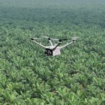 Pemantauan Keamanan Hutan dan Deteksi Kebakaran Lahan dengan DJI Dock 3