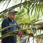 Holding Perkebunan Nusantara Siaga Hadapi Kemarau, PalmCo Perkuat Deteksi Dini Karhutla dan Strategi Agronomi