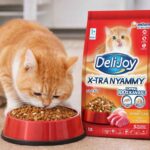 Jangan Asal Pilih! Ini Rekomendasi Dry Food Kucing Bernutrisi Tinggi