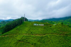 Mengurai Kemacetan Akhir Pekan: Mengapa Rancamaya Menjadi Alternatif Rasional Puncak bagi Warga Jabodetabek