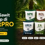 SawitPRO Hadirkan Pilihan Pupuk Sawit Lengkap untuk Kebutuhan Petani dan Perkebunan
