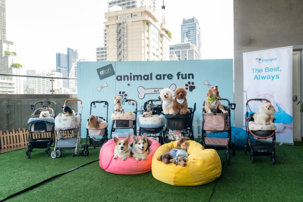 ชวนคนรักน้องหมาอิ่มอร่อยกับ Sunday Brunch & Bark ใจกลางสุขุมวิท พร้อมบุฟเฟต์สำหรับเพื่อนซี้สี่ขา