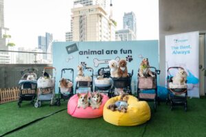 ชวนคนรักน้องหมาอิ่มอร่อยกับ Sunday Brunch & Bark ใจกลางสุขุมวิท พร้อมบุฟเฟต์สำหรับเพื่อนซี้สี่ขา