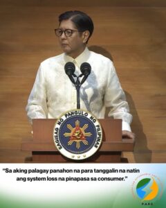 PARE: End the Double Standard on Systems Loss Charges