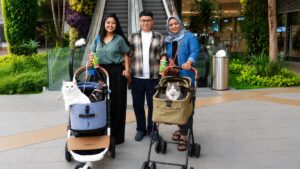Main Bareng Anabul Di Grand Galaxy Park yang Cat Friendly